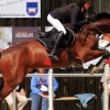Reitturnier Pfullingen 17.08.2014