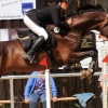 Reitturnier Pfullingen 17.08.2014