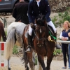 Reitturnier Pfullingen 17.08.2014