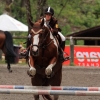 Reitturnier Pfullingen 17.08.2014