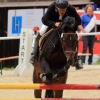Reitturnier Pfullingen 17.08.2014