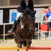 Reitturnier Pfullingen 17.08.2014