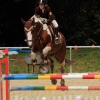 Reitturnier Pfullingen 17.08.2014