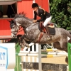 Reitturnier Pfullingen 17.08.2014