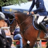 Reitturnier Pfullingen 17.08.2014