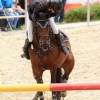 Reitturnier Pfullingen 17.08.2014