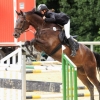 Reitturnier Pfullingen 17.08.2014