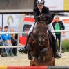 Reitturnier Pfullingen 17.08.2014