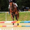 Reitturnier Pfullingen 17.08.2014