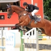 Reitturnier Pfullingen 17.08.2014