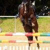 Reitturnier Pfullingen 17.08.2014