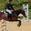 Reitturnier Pfullingen 17.08.2014