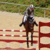 Reitturnier Pfullingen 17.08.2014