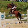 Reitturnier Pfullingen 17.08.2014