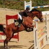 Reitturnier Pfullingen 17.08.2014