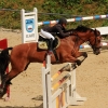 Reitturnier Pfullingen 17.08.2014