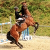 Reitturnier Pfullingen 17.08.2014