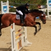 Reitturnier Pfullingen 17.08.2014
