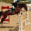 Reitturnier Pfullingen 17.08.2014