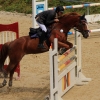 Reitturnier Pfullingen 17.08.2014