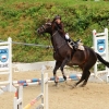 Reitturnier Pfullingen 17.08.2014
