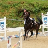Reitturnier Pfullingen 17.08.2014