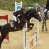 Reitturnier Pfullingen 17.08.2014