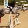 Reitturnier Pfullingen 17.08.2014