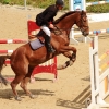 Reitturnier Pfullingen 17.08.2014
