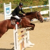 Reitturnier Pfullingen 17.08.2014