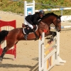 Reitturnier Pfullingen 17.08.2014