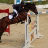 Reitturnier Pfullingen 17.08.2014