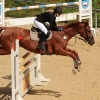 Reitturnier Pfullingen 17.08.2014