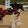 Reitturnier Pfullingen 17.08.2014