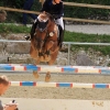 Reitturnier Pfullingen 17.08.2014