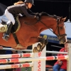 Reitturnier Pfullingen 17.08.2014