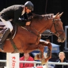 Reitturnier Pfullingen 17.08.2014