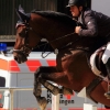 Reitturnier Pfullingen 17.08.2014