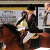 Reitturnier Pfullingen 17.08.2014