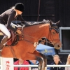 Reitturnier Pfullingen 17.08.2014