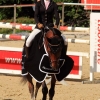 Reitturnier Pfullingen 17.08.2014