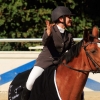 Reitturnier Pfullingen 17.08.2014