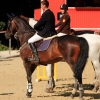 Reitturnier Pfullingen 17.08.2014