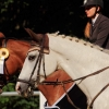 Reitturnier Pfullingen 17.08.2014