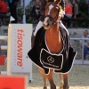 Reitturnier Pfullingen 17.08.2014