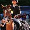 Reitturnier Pfullingen 17.08.2014