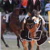 Reitturnier Pfullingen 17.08.2014