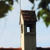 Reitturnier Pfullingen 17.08.2014