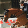 Reitturnier Pfullingen 17.08.2014
