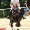 1dfh-140815-015